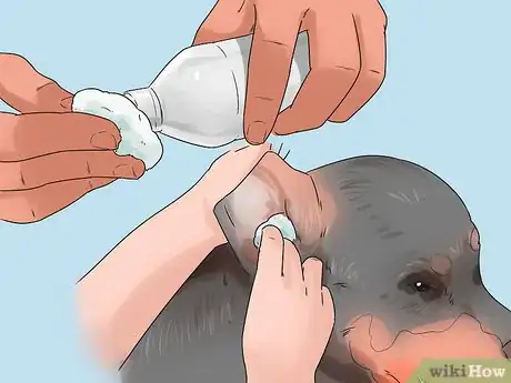 Image titled Give Your Dog a Make Over Step 7
