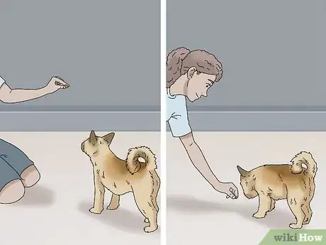 Image titled Walk a Dog on a Leash Step 8