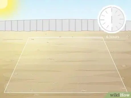 Image titled Grow Rainbow Eucalyptus Step 10