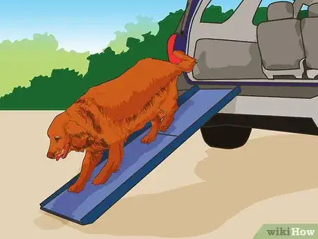 Image titled Handle Holiday Travel with Your Pet Step 4