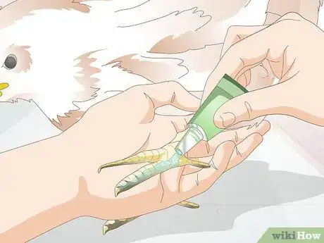 Image titled Treat Frostbite in Chickens Step 7