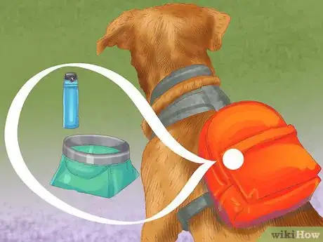 Image titled Choose a Good Hiking Dog Step 10