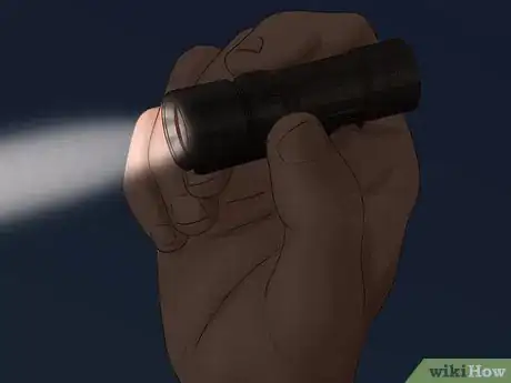 Image titled Find a Lost Cat Step 2