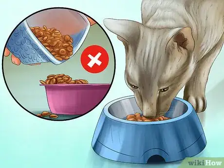 Image titled Take Care of an Oriental Cat Step 4