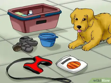 Image titled Hike with Your Hound Step 1