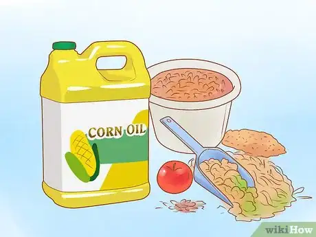 Image titled Condition Your Horse for Endurance Riding Step 17