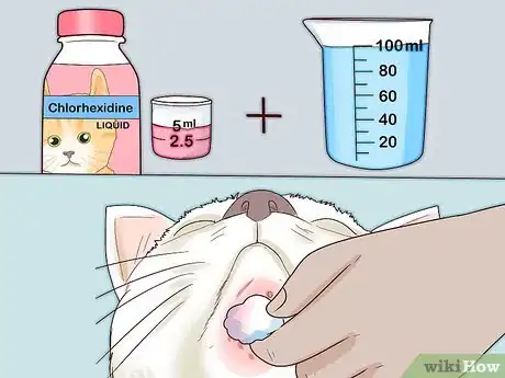 Image titled Treat Feline Acne Step 10