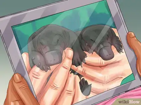 Image titled Find an Exotic Animal Vet Step 6