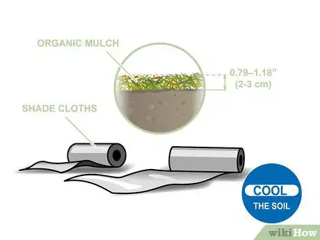 Image titled Grow Vegetables in the Southwest (USA) Step 05