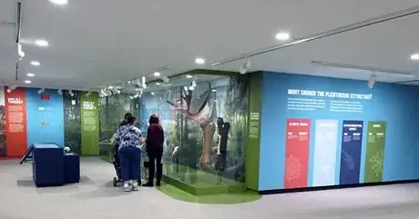 Image titled Crossroads Gallery NYSM