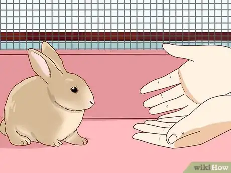 Image titled Befriend a Shy Rabbit Step 11