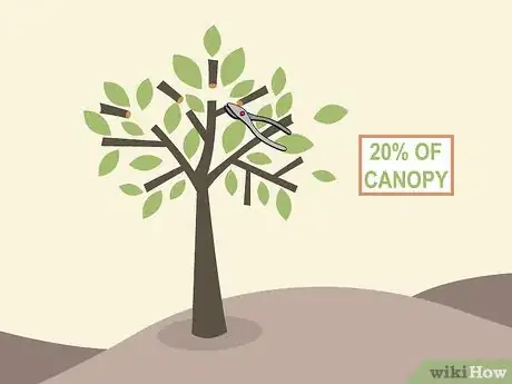 Image titled Prune Citrus Trees Step 4