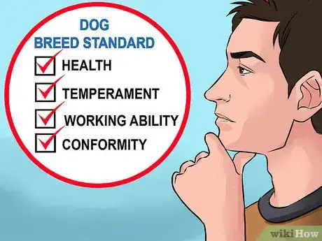 Image titled Check Breed Standards Before Breeding Dogs Step 7