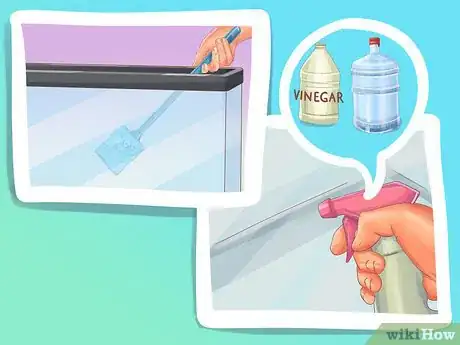 Image titled Clean a Fiddler Crab Tank Step 7