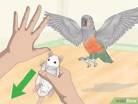 Image titled Keep Pet Rats Safe Around Other Pets Step 12