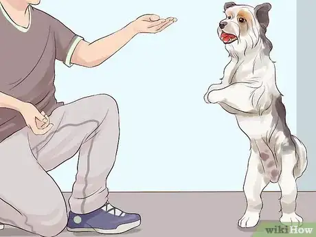 Image titled Choose a Hypoallergenic Dog Step 2