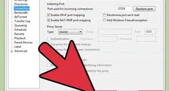 Install the BitTorrent Client