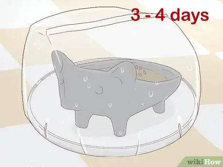 Image titled Grow a Chia Pet Step 7