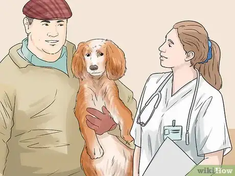 Image titled Breed Scottish Cocker Spaniels Step 4