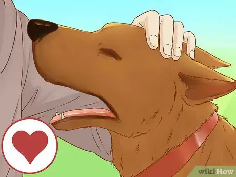 Image titled Be Patient with Your Dog Step 10