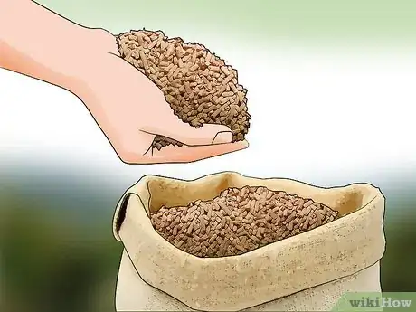 Image titled Control Johnson Grass Step 6