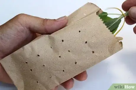 Image titled Dry Sage Step 8