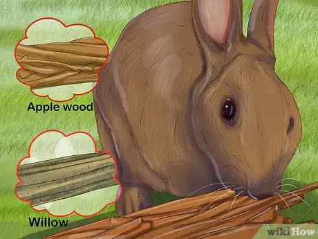 Image titled Choose Toys for Your Rabbit Step 7