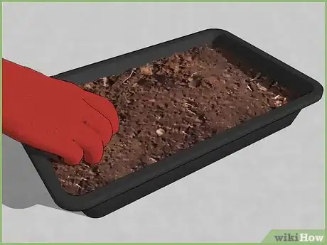 Image titled Plant a Seed Step 4