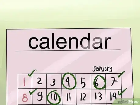 Image titled Teach a Conure to Talk Step 4