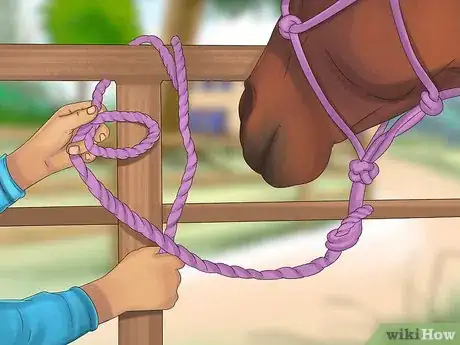 Image titled Tie up a Horse Step 14