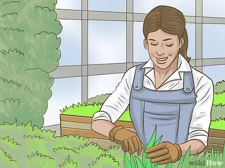 Image titled Work in a Greenhouse Step 4