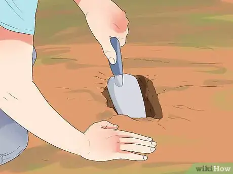 Image titled Plant Cedar Trees Step 10