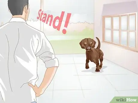 Image titled Train a Dog to Stand Up Step 9