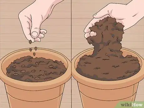 Image titled Grow Delphinium Step 5