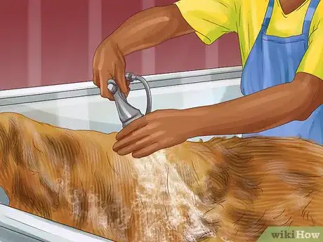 Image titled Bathe a Clumsy Dog Step 12
