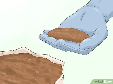 Image titled Grow Miniature Houseplants Step 13