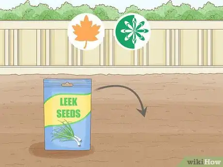 Image titled Grow Leeks Step 1