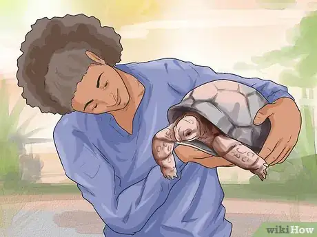 Image titled Buy a Turtle Step 6