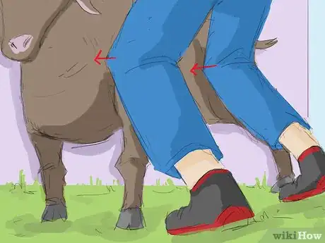 Image titled Catch a Goat Step 4