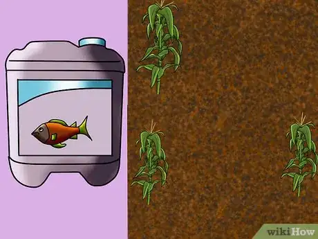 Image titled Grow and Harvest Glass Gem Corn Step 8