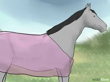 Image titled Take Care of a Horse in Hot Weather Step 10