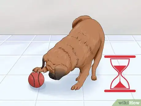 Image titled Introduce a New Dog to Your Senior Dog Step 9
