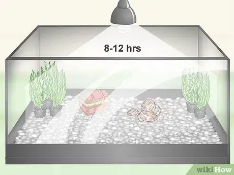 Image titled Care for Fancy Goldfish Step 5