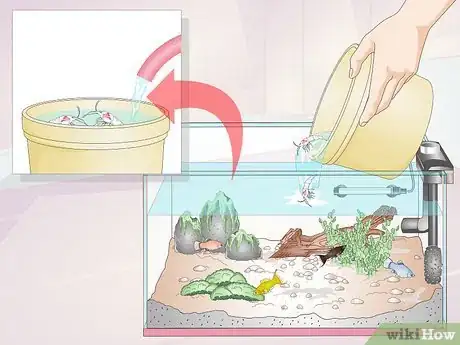 Image titled Keep Crystal Red Shrimp Step 9