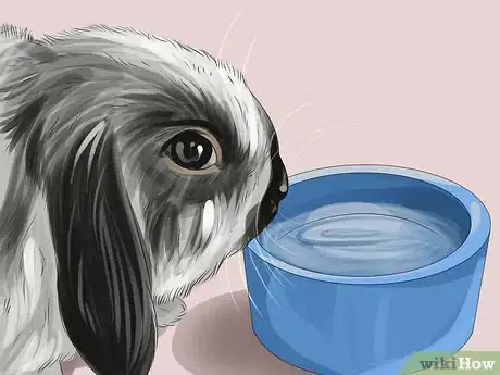 Image titled Keep Your Pets Safe in Winter Step 16