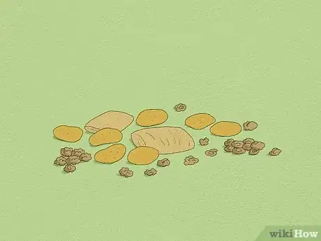 Image titled Feed a Squirrel Step 9