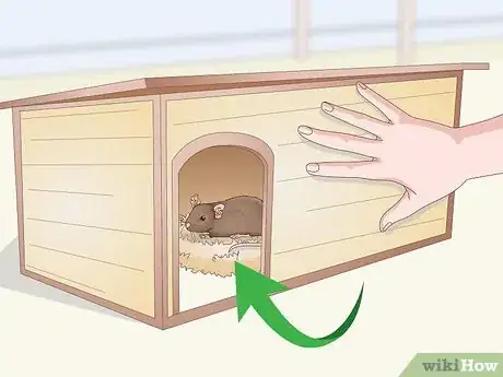 Image titled Provide Hiding Places for a Pet Rat Step 8