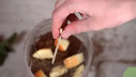 Image titled Make a Plastic Bottle Wormery Step 12