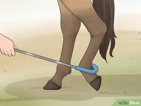 Image titled Train Your Horse for the Farrier Step 9