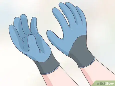 Image titled Prune Nyssa Sylvatica Step 4